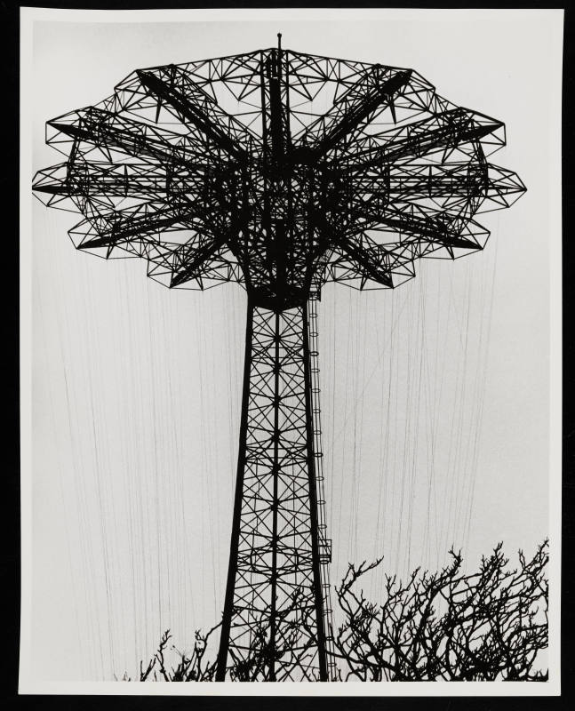 © Erika Stone.  Image courtesy Emory Libraries Digitization.