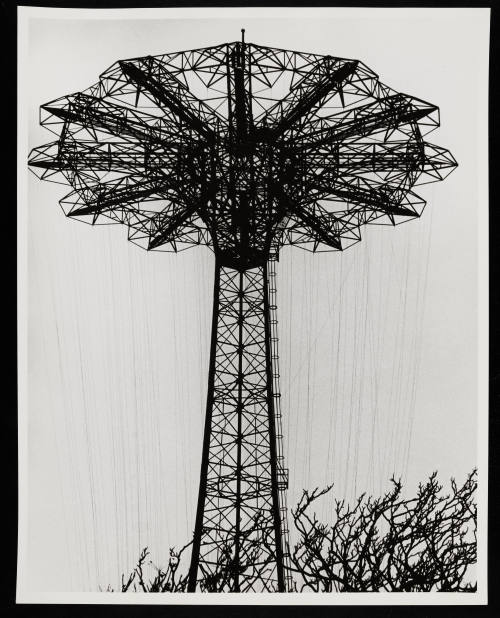 © Erika Stone.  Image courtesy Emory Libraries Digitization.