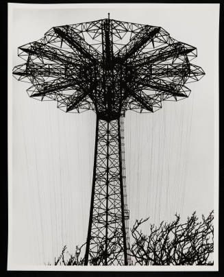 © Erika Stone.  Image courtesy Emory Libraries Digitization.