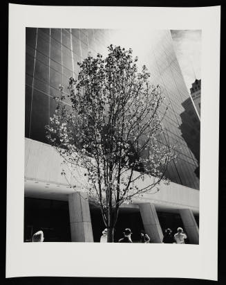© Estate of Lou Stoumen.  Image courtesy Emory Libraries Digitization