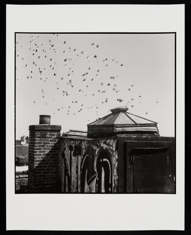© Danny Lyon.  Image courtesy Emory Libraries Digitization