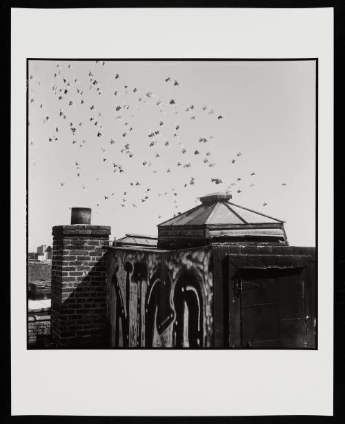 © Danny Lyon.  Image courtesy Emory Libraries Digitization