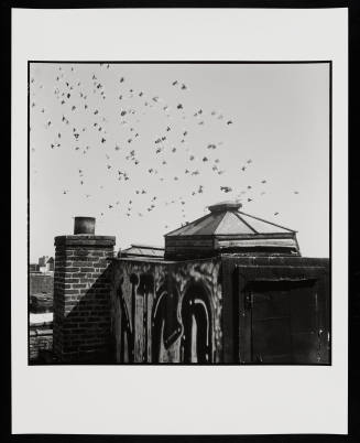 © Danny Lyon.  Image courtesy Emory Libraries Digitization