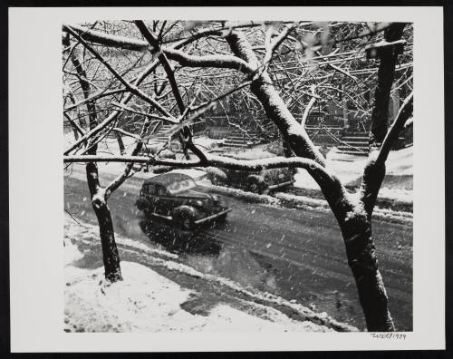 © Estate of William Witt.  Image courtesy Emory Libraries Digitization.