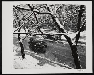 © Estate of William Witt.  Image courtesy Emory Libraries Digitization.