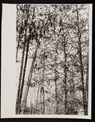 © Estate of Nathan Lerner.  Image courtesy Emory Libraries Digitization.