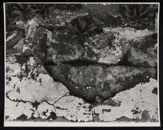 © Estate of Nathan Lerner.  Image courtesy Emory Libraries Digitization.