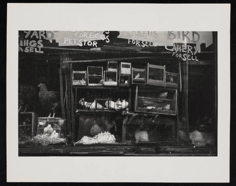 © Estate of Nathan Lerner.  Image courtesy Emory Libraries Digitization.
