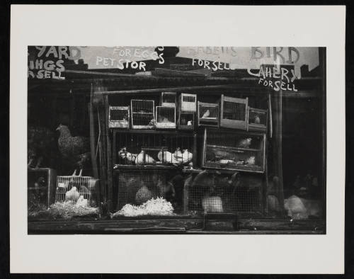 © Estate of Nathan Lerner.  Image courtesy Emory Libraries Digitization.