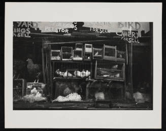 © Estate of Nathan Lerner.  Image courtesy Emory Libraries Digitization.