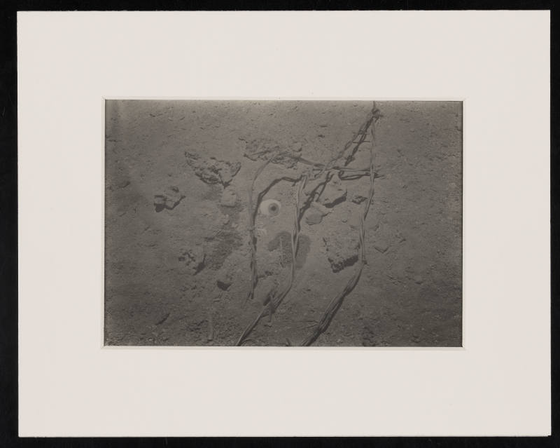 © Estate of Nathan Lerner.  Image courtesy Emory Libraries Digitization.