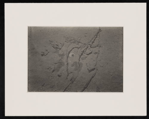 © Estate of Nathan Lerner.  Image courtesy Emory Libraries Digitization.