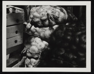 © Estate of Nathan Lerner.  Image courtesy Emory Libraries Digitization.