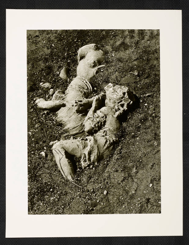 © Estate of Nathan Lerner.  Image courtesy Emory Libraries Digitization.