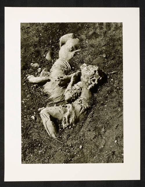 © Estate of Nathan Lerner.  Image courtesy Emory Libraries Digitization.