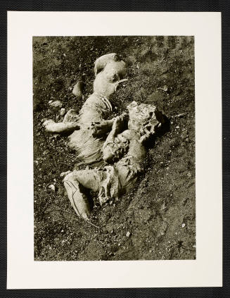 © Estate of Nathan Lerner.  Image courtesy Emory Libraries Digitization.