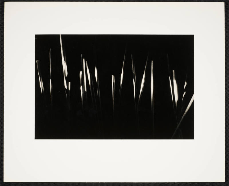 © Estate of Nathan Lerner.  Image courtesy Emory Libraries Digitization.