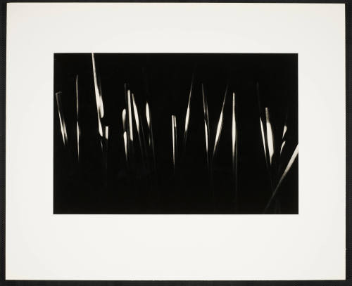 © Estate of Nathan Lerner.  Image courtesy Emory Libraries Digitization.