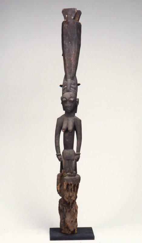 © Michael C. Carlos Museum, Emory University