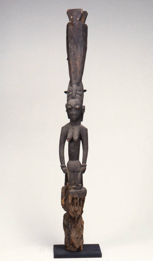 © Michael C. Carlos Museum, Emory University