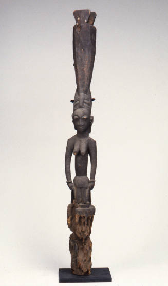 © Michael C. Carlos Museum, Emory University