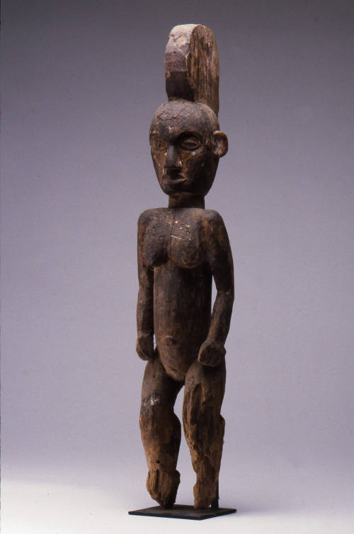 © Michael C. Carlos Museum, Emory University