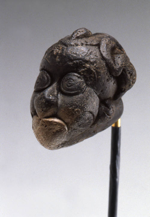 © Michael C. Carlos Museum, Emory University