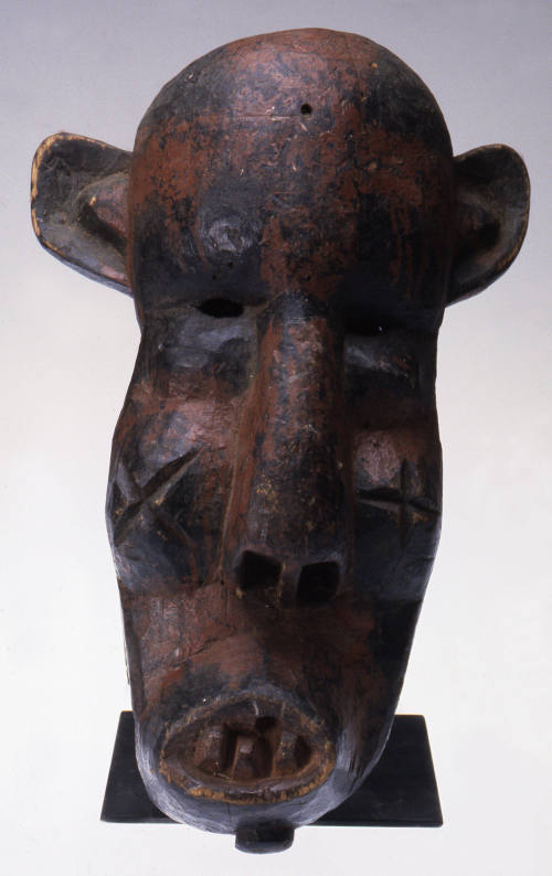 © Michael C. Carlos Museum, Emory University