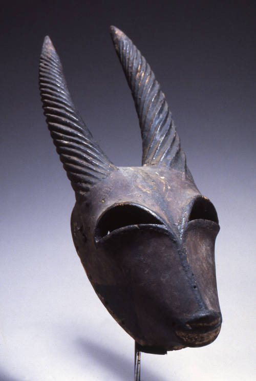 © Michael C. Carlos Museum, Emory University