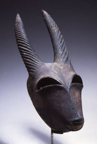 © Michael C. Carlos Museum, Emory University