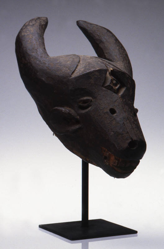 © Michael C. Carlos Museum, Emory University
