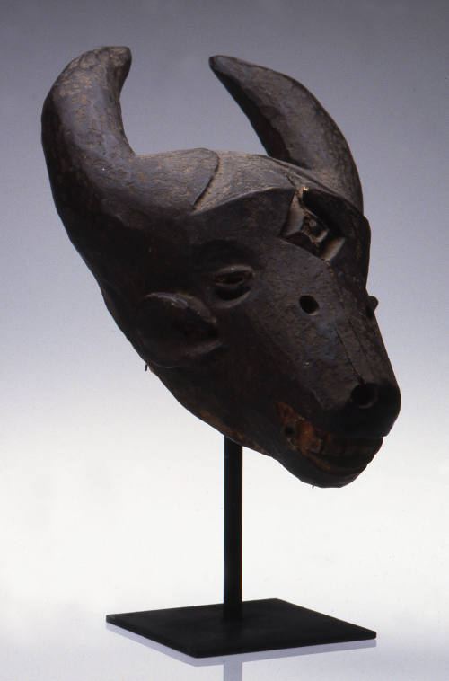 © Michael C. Carlos Museum, Emory University