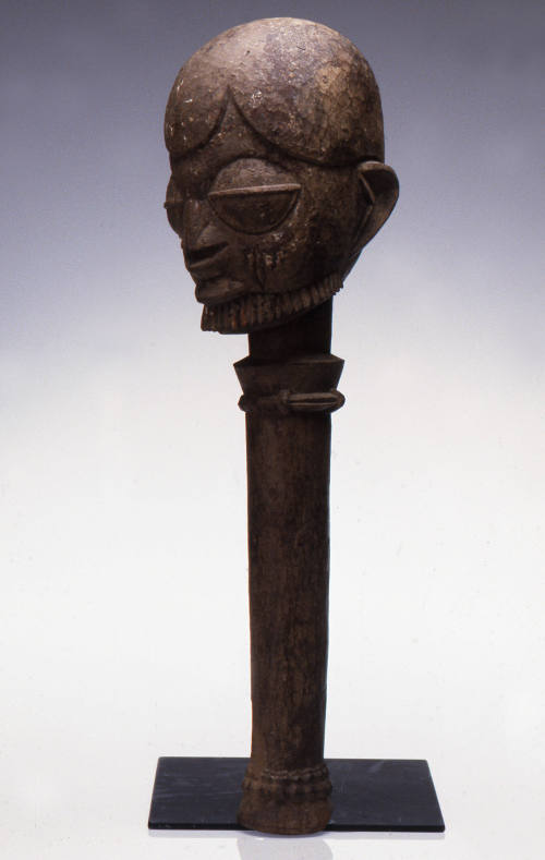 © Michael C. Carlos Museum, Emory University