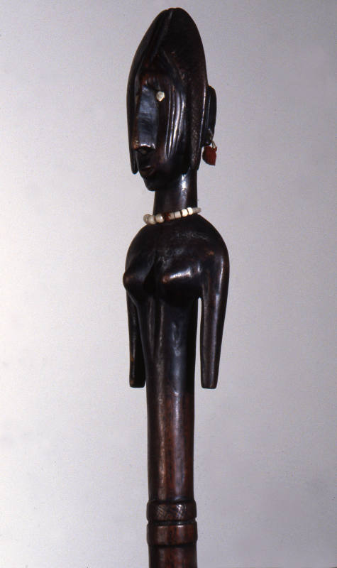 © Michael C. Carlos Museum, Emory University