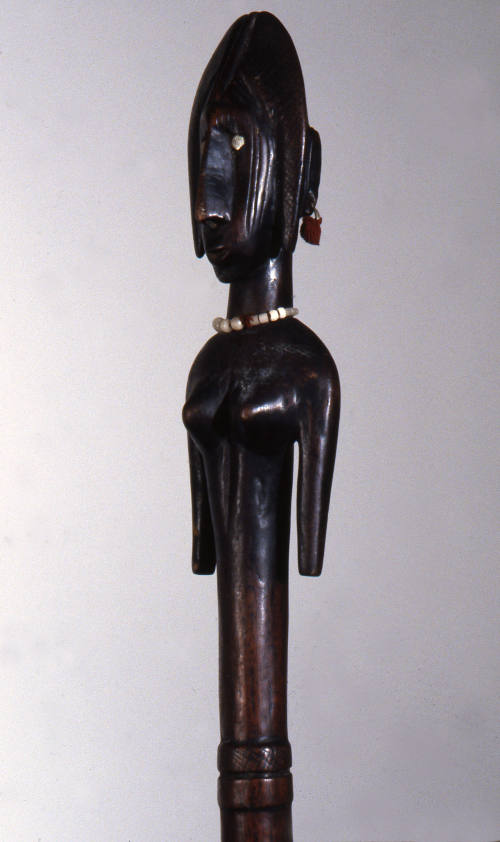 © Michael C. Carlos Museum, Emory University