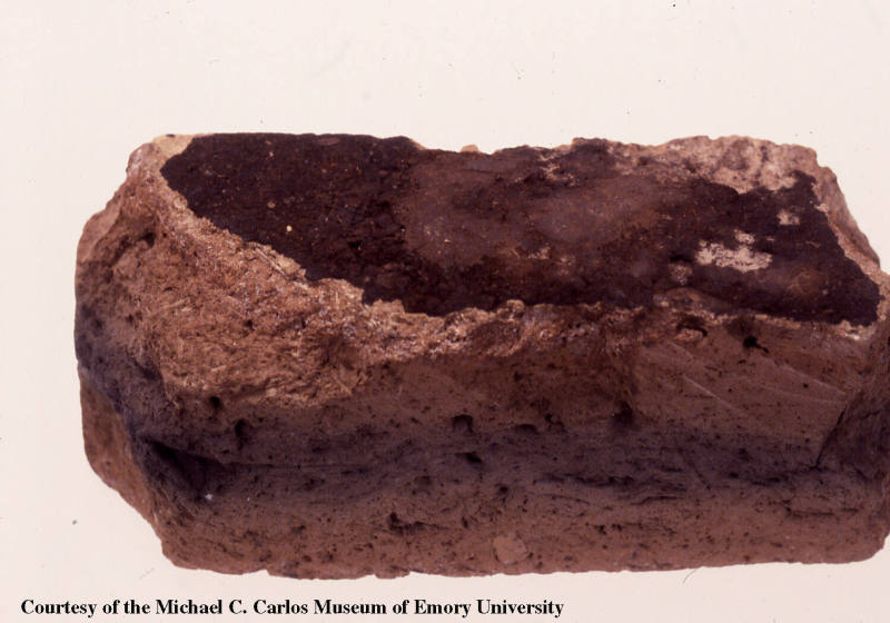 © Michael C. Carlos Museum, Emory University