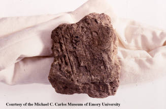 © Michael C. Carlos Museum, Emory University