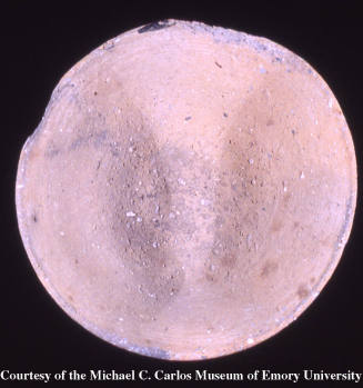 © Michael C. Carlos Museum, Emory University