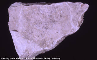 © Michael C. Carlos Museum, Emory University