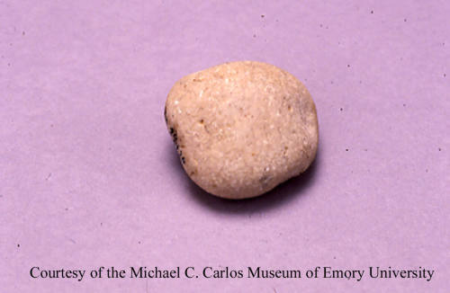 © Michael C. Carlos Museum, Emory University