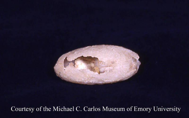 © Michael C. Carlos Museum, Emory University