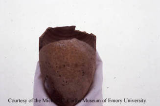 © Michael C. Carlos Museum, Emory University