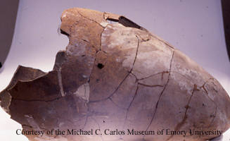 © Michael C. Carlos Museum, Emory University