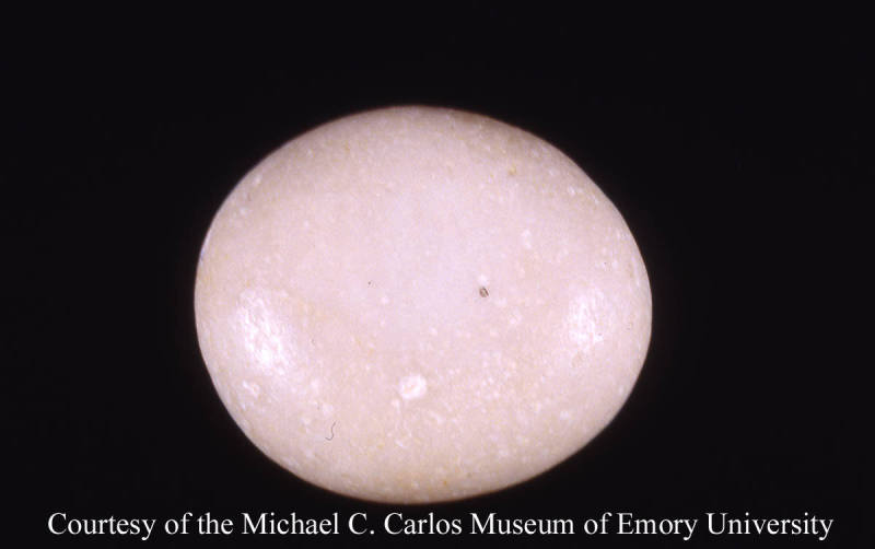 © Michael C. Carlos Museum, Emory University