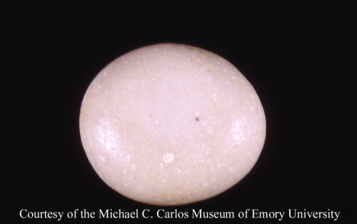 © Michael C. Carlos Museum, Emory University