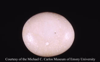 © Michael C. Carlos Museum, Emory University