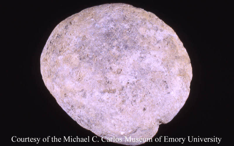 © Michael C. Carlos Museum, Emory University