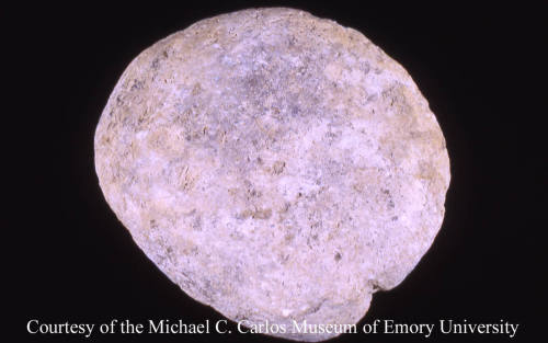 © Michael C. Carlos Museum, Emory University