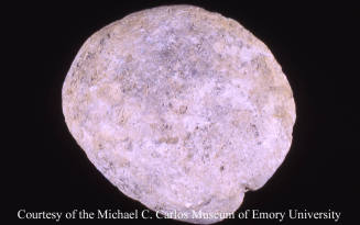 © Michael C. Carlos Museum, Emory University
