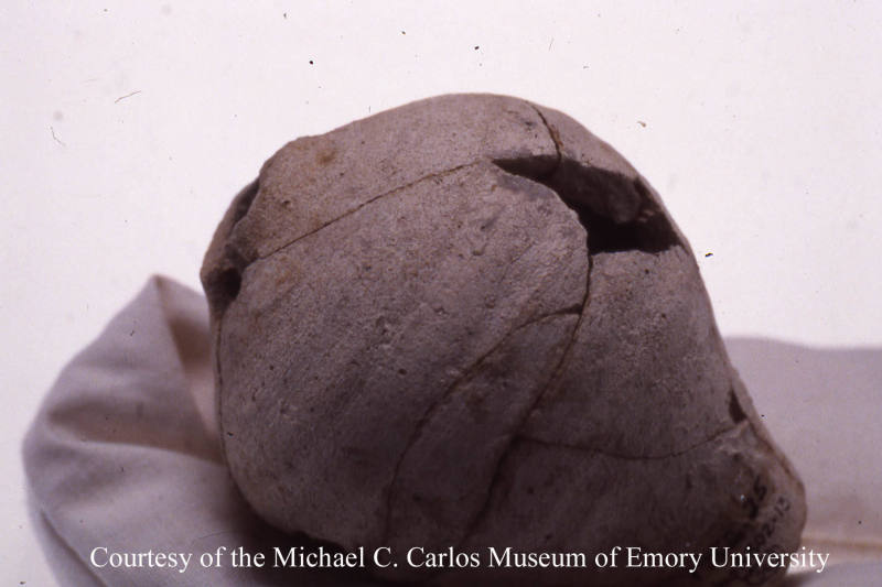 © Michael C. Carlos Museum, Emory University
